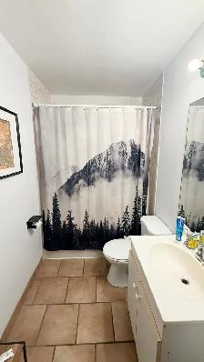 Cozy Dundas 1 bd rm plus den in smaller quiet building - Photo 9