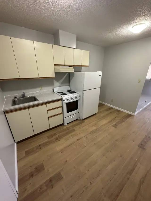 Bachelor Apartment Available Now in Minnow Lake Area