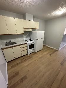 Bachelor Apartment Available Now in Minnow Lake Area