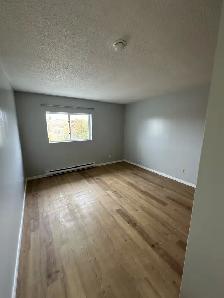 Bachelor Apartment Available Now in Minnow Lake Area - Photo 2