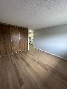 Bachelor Apartment Available Now in Minnow Lake Area - Photo 3