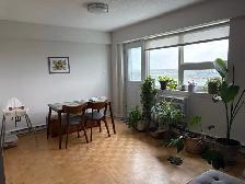 2 BEDROOM SUBLET AVAILABLE FOR DECEMBER 1st 2026 - Photo 4