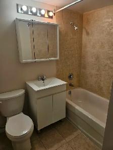 Junior apartment available at Tiara across from East Gate Square - Photo 9