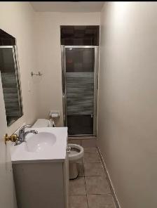 Bright Furnished Room with Parking @York University Village - Photo 7