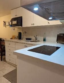 Bright Furnished Room with Parking @York University Village - Photo 8