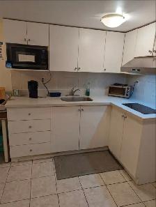 Bright Furnished Room with Parking @York University Village - Photo 9