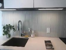 Spacious 2 BHK  Den 2 Bath with Private Garden Space - Photo 6