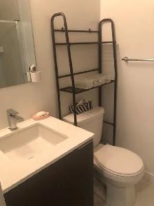 Spacious 2 BHK  Den 2 Bath with Private Garden Space - Photo 11