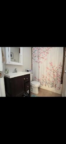 2 bedroom 1 bath Apartment - Photo 7