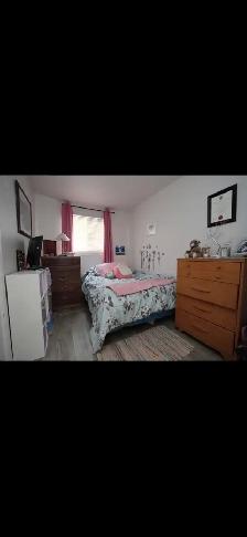 2 bedroom 1 bath Apartment - Photo 8
