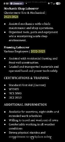 looking for a full time or part time trades job - Photo 3