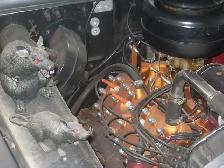 1950 ford custom 2 door sedan - Photo 5