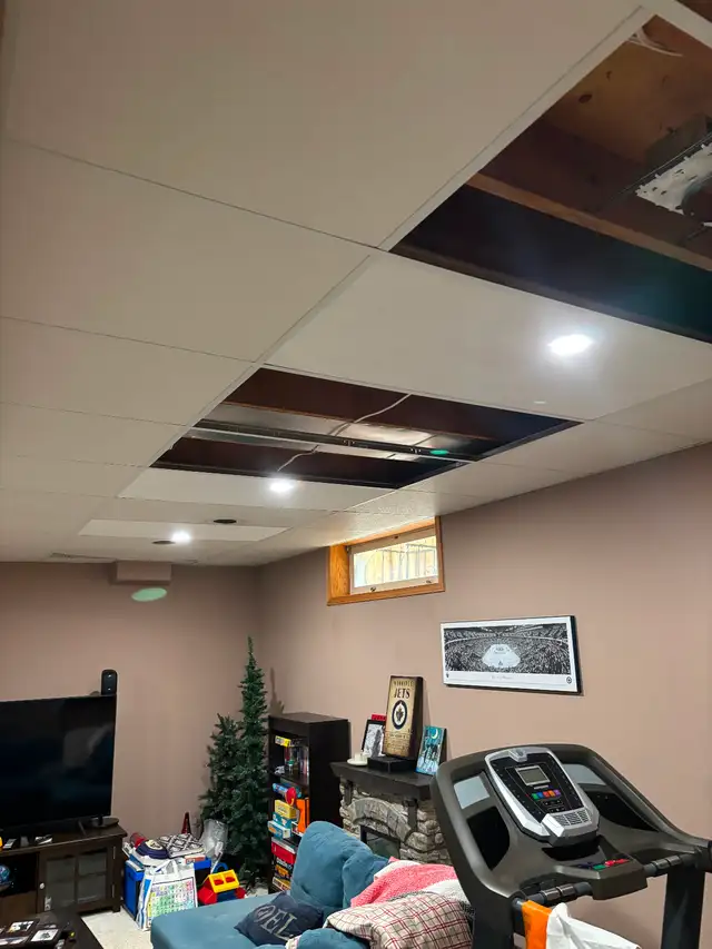 Suspended Ceilings