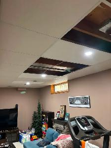 Suspended Ceilings