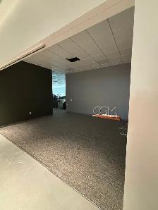 Suspended Ceilings - Photo 4