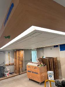 Suspended Ceilings - Photo 5