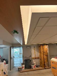 Suspended Ceilings - Photo 6