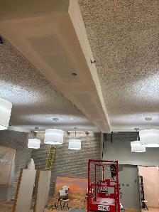 Suspended Ceilings - Photo 8