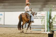 Colt Starting & Horse Training