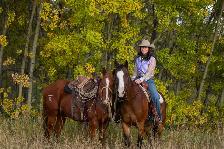 Colt Starting & Horse Training - Photo 2
