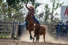 Colt Starting & Horse Training - Photo 4