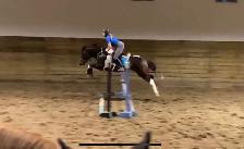 Colt Starting & Horse Training - Photo 5