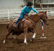 Colt Starting & Horse Training - Photo 6