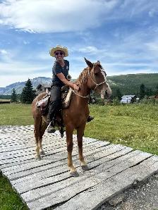 Colt Starting & Horse Training - Photo 7