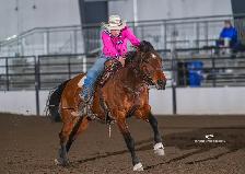 Colt Starting & Horse Training - Photo 9