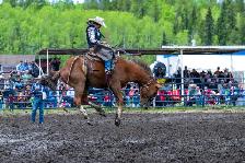 Colt Starting & Horse Training - Photo 10