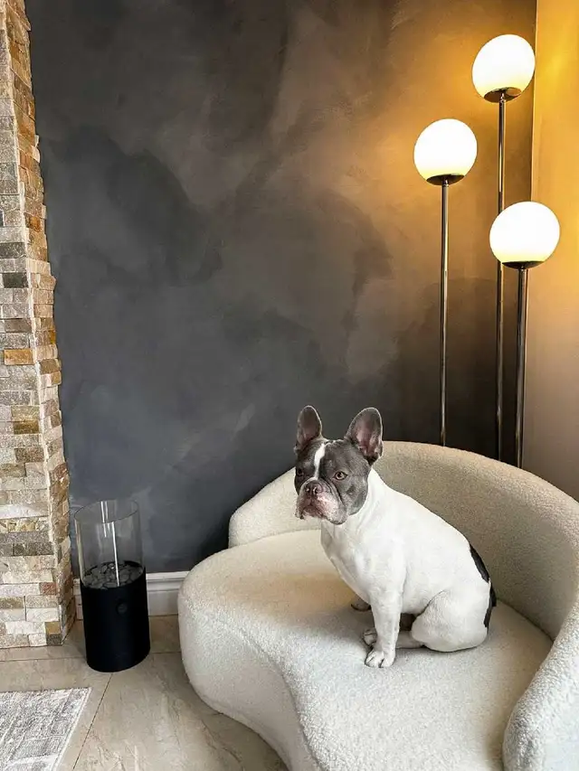Microcement & Limewash for Luxury Decorative Wall Finishes