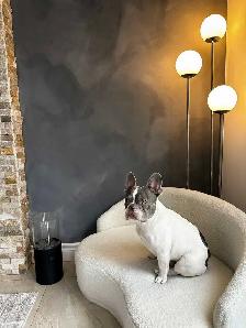 Microcement & Limewash for Luxury Decorative Wall Finishes