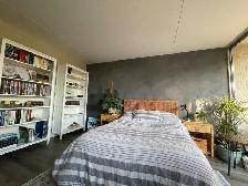 Microcement & Limewash for Luxury Decorative Wall Finishes - Photo 4