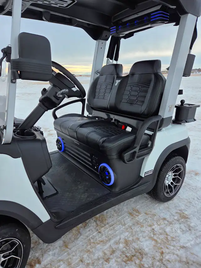 2027 Tara Sprit  Golf Cart, Fall Specials, Layaways till Spring