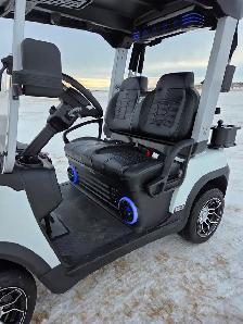 2027 Tara Sprit  Golf Cart, Fall Specials, Layaways till Spring