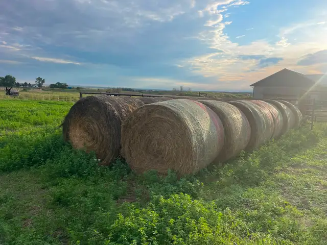 hay bales for sale