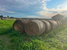 hay bales for sale