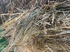 hay bales for sale - Photo 3