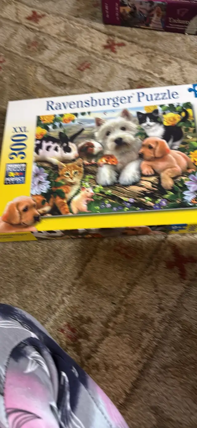3 - 300 piece Puzzles and 1-100 piece.