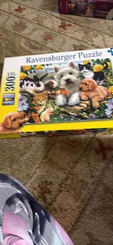 3 - 300 piece Puzzles and 1-100 piece.