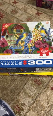 3 - 300 piece Puzzles and 1-100 piece. - Photo 2