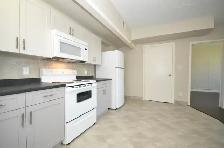 $1495 All incl. bachelor w/internet. Available Jan 1st. Chippawa - Photo 2