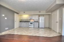 $1495 All incl. bachelor w/internet. Available Jan 1st. Chippawa - Photo 3