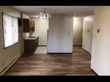 3rd Floor 1 bedroom with view - Southview! - Photo 2