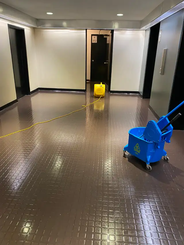 Office and Janitorial Cleaning