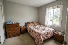 Professional Painters in Oshawa — 416-838-1391 - Photo 7