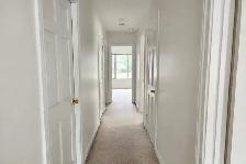 Professional Painters in Oshawa — 416-838-1391 - Photo 9