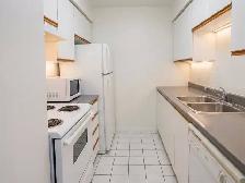 50% 1er Mois - 2 1/2 Metro Papineau Montréal Appartment - Photo 4