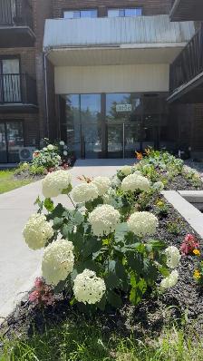 4 1/2 & 3 1/2 Condo Style, all-inclusive, spacious, Pierrefonds - Photo 8