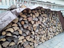 TRANSCONA Tamarack Firewood Lady